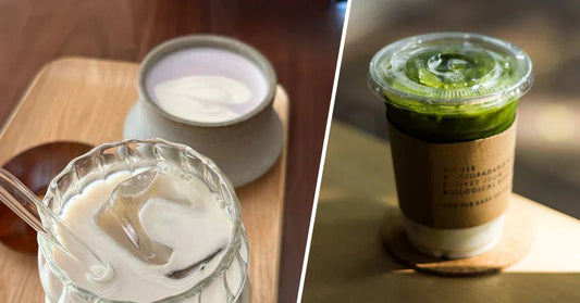 Matcha et Ube : Deux poudres naturelles aux bienfaits surprenants 🌿💜 - Ubeal - Ube Premium